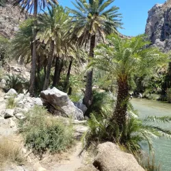 Preveli Beach and Palm Forest - Rethymno