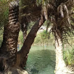Preveli Beach and Palm Forest - Rethymno