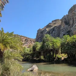 Preveli Beach and Palm Forest - Rethymno