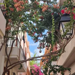 Rethymno Old Town - Rethymno