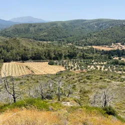 Ancient Kamiros - Rhodes