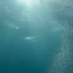 Rhodes Aquarium - Rhodes