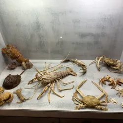 Rhodes Aquarium - Rhodes