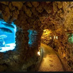 Rhodes Aquarium - Rhodes