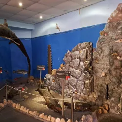 Rhodes Aquarium - Rhodes