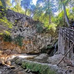 Valley of the Butterflies (Petaloudes) - Rhodes