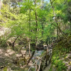 Valley of the Butterflies (Petaloudes) - Rhodes