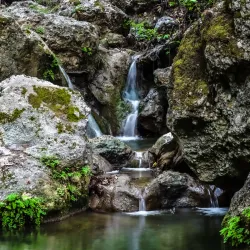 Valley of the Butterflies (Petaloudes) - Rhodes