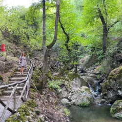 Valley of the Butterflies (Petaloudes) - Rhodes