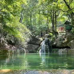 Valley of the Butterflies (Petaloudes) - Rhodes
