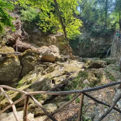 Valley of the Butterflies (Petaloudes) - Rhodes