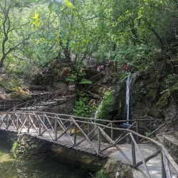 Valley of the Butterflies (Petaloudes) - Rhodes