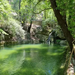 Valley of the Butterflies (Petaloudes) - Rhodes