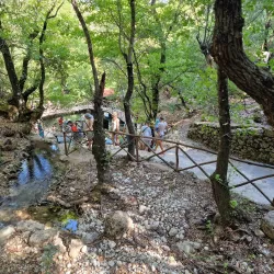 Valley of the Butterflies (Petaloudes) - Rhodes