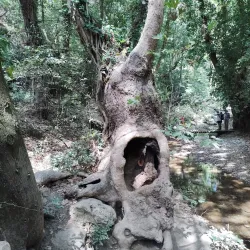 Potami Waterfalls - Samos