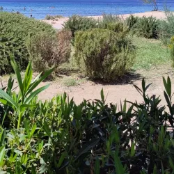 Kavouri Beach - Vari