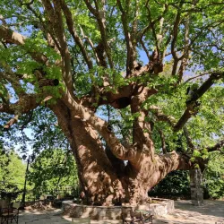 Pelion Mountain - Volos