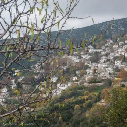 Pelion Mountain - Volos