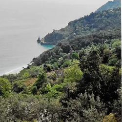 Pelion Mountain - Volos