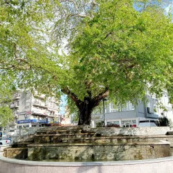 Municipal Park of Xanthi - Xanthi