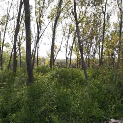 Nestos River - Xanthi