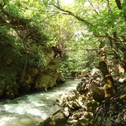 Vouraikos Gorge - Xylokastro