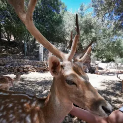 Askos Stone Park - Zakynthos