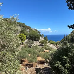 Askos Stone Park - Zakynthos