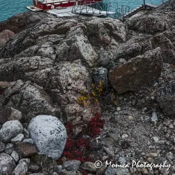 Alluitsup Paa Village - Alluitsup Paa