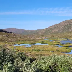 Hiking Trails - Alluitsup Paa