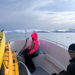 Kayaking in the Fjords - Arsuk