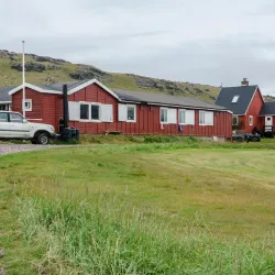 Bird Watching - Igaliku