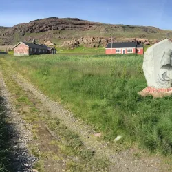 Bird Watching - Igaliku