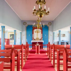 Bird Watching - Igaliku