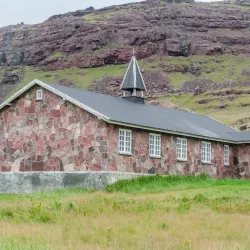 Bird Watching - Igaliku