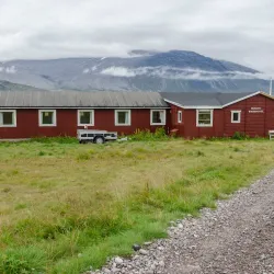 Bird Watching - Igaliku