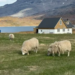 Hiking Trails Around Igaliku - Igaliku