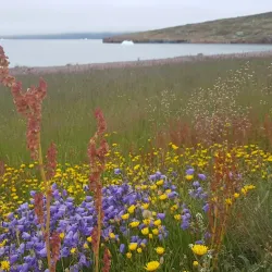 Hiking Trails Around Igaliku - Igaliku