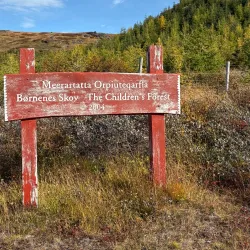 Hiking Trails Around Igaliku - Igaliku