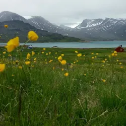 Qooroq Ice Fjord - Igaliku