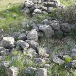 Arctic Wildlife Observation - Iginniarfik