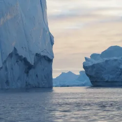 Boat Tours in the Arctic Waters - Iginniarfik