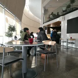 Greenlandic Cultural Experiences - Iginniarfik