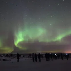 Northern Lights Viewing - Iginniarfik