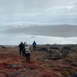 Boat Tours of the Fjords - Kuummiut
