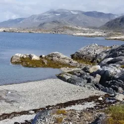 Photography Opportunities - Kuummiut