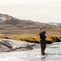 Wildlife Watching - Kuummiut