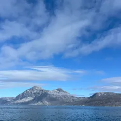 Wildlife Watching - Kuummiut