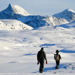 Wildlife Watching - Kuummiut