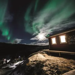 Arctic Wildlife Observation - Niaqornaarsuk